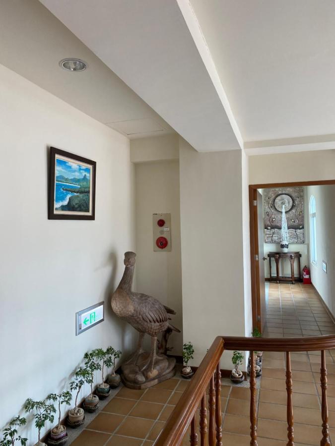 קנטינג Mamalulu Hostel מראה חיצוני תמונה